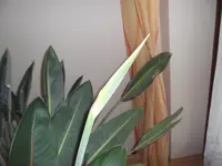 DSCF9030.webp