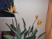 DSCF1026.webp