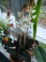 DSC02514.webp