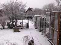 HPIM8766.webp