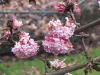 008.webp