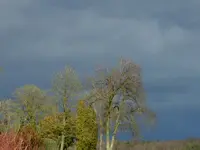 DSCN7525.webp