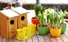 gerüstet für den Frühling_600.webp