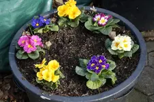_DSC1104.webp