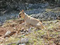 BELLA1.webp
