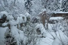2013_0207Winter0004.webp