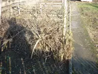 P1110141.webp