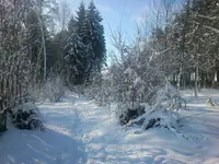 Winter+Videos 014.webp