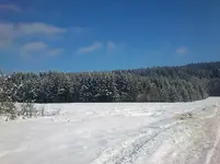 Winter+Videos 024.webp