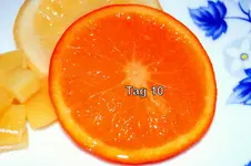 GTag10.webp
