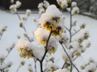 016.webp