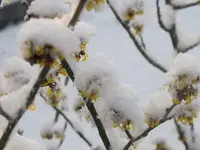 014.webp
