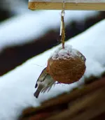 comp_DSC01904.webp