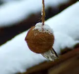 comp_DSC01917.webp