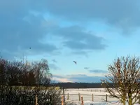 Himmlisch_7680.webp