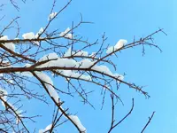 Himmlisch_7979.webp