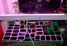 DSCF7749.2.webp