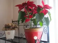 011.webp