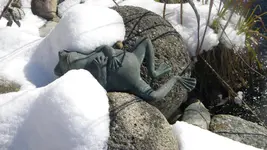 DSCN4209.webp