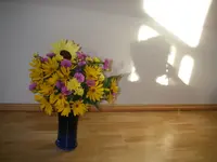 Pomeranze Neue Wohnung.webp