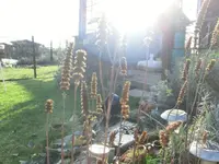 CIMG2557.webp