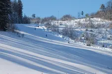 2013_0210Winter0014.webp