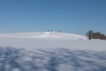 2013_0210Winter0028.jpg