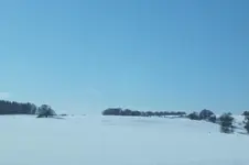 2013_0210Winter0006.webp
