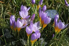 IMG_9804.webp