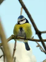 DSCN8096.webp