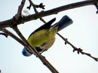 DSCN8090.webp