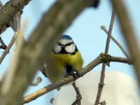 DSCN8095.webp
