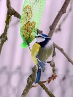 DSCN8094.webp