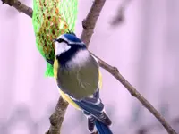 DSCN8091.webp