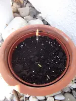 DSCF0488.webp