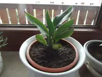 DSCF9039.webp