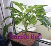 IMG_7669.webp