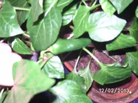 BILD2396.webp