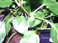 BILD2395.webp