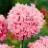 81608_1.webp