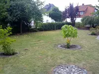 21082012683-001.webp