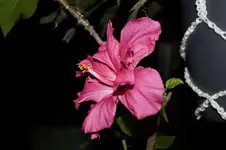 _DSC1122.webp