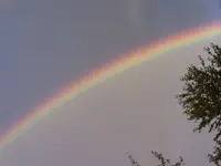 muecke1401 Regenbogen.webp