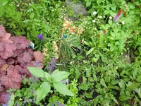 CIMG4230.webp