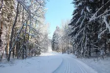 2013_0210Winter0020.webp