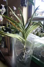 _DSC1128.webp