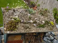 Insektenhotel 800-600-06.05.2012.webp