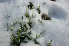 Garten 02 2013 004.webp