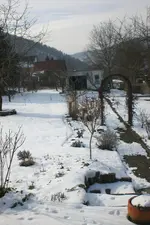 Garten 02 2013 033.webp