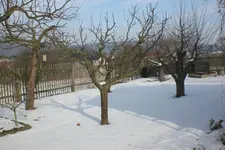 Garten 02 2013 034.webp